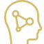 brain
